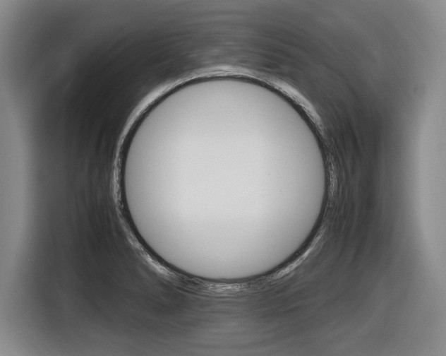 X0000116421278200912081152