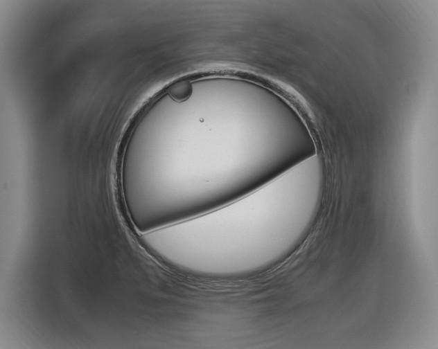 X0000116421279200912081152