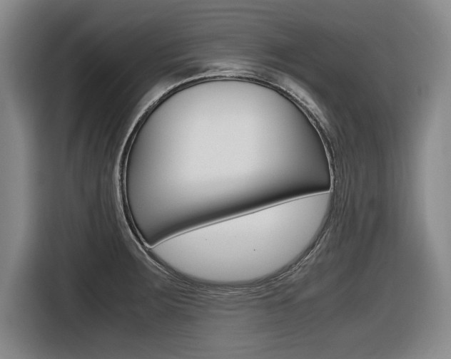 X0000116421283200912081152
