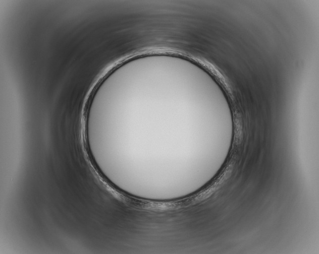 X0000116421286200912081152