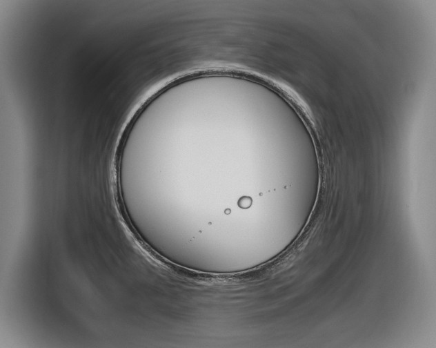 X0000116421287200912081152