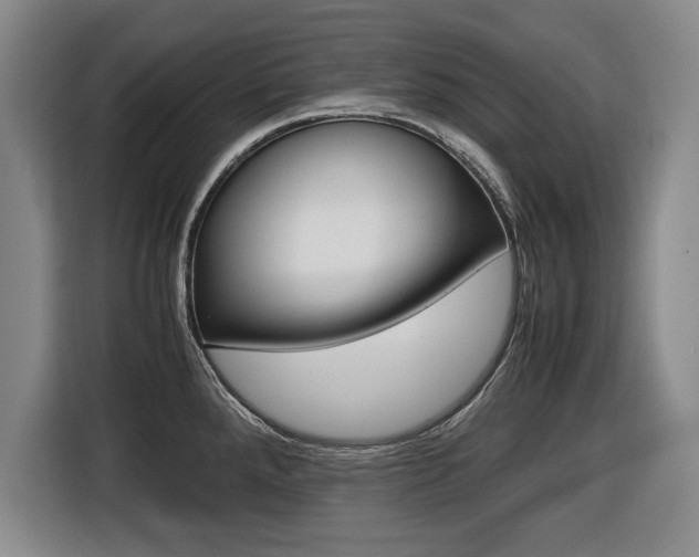 X0000116421288200912081152