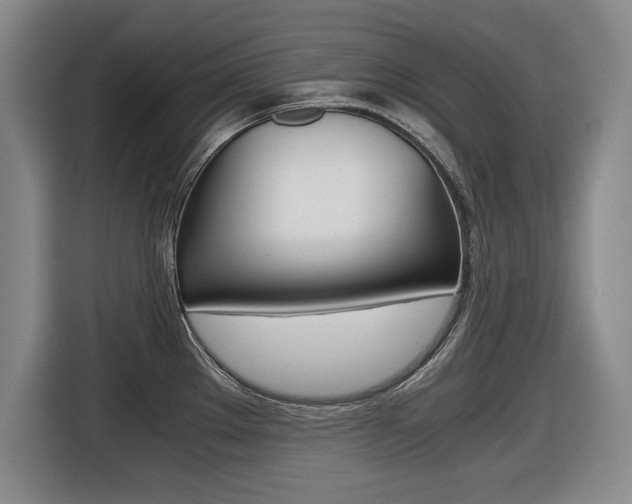 X0000116421289200912081152