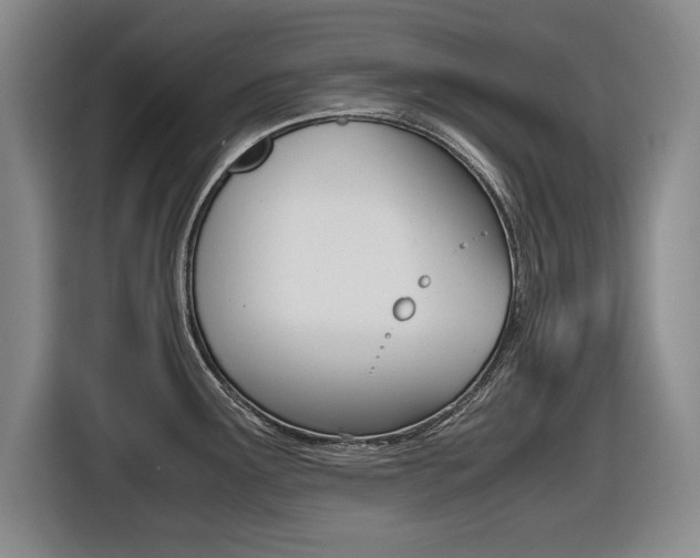 X0000116421291200912081152