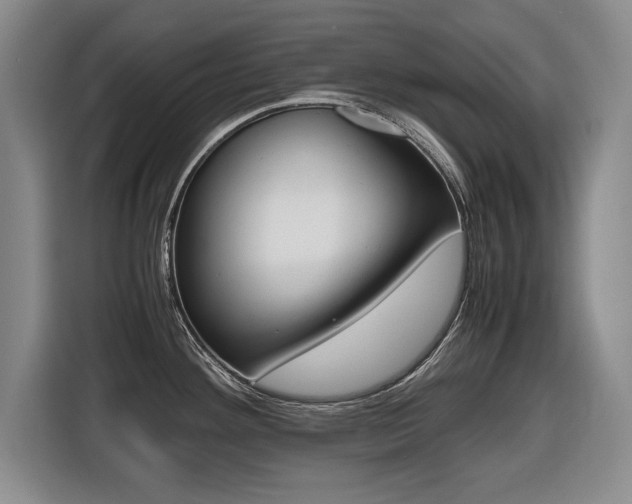 X0000116421292200912081152