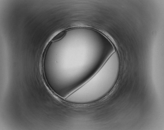 X0000116421293200912081152