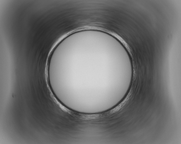 X0000116421294200912081152