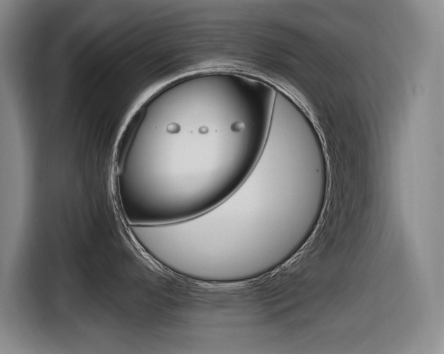 X0000116421296200912081152