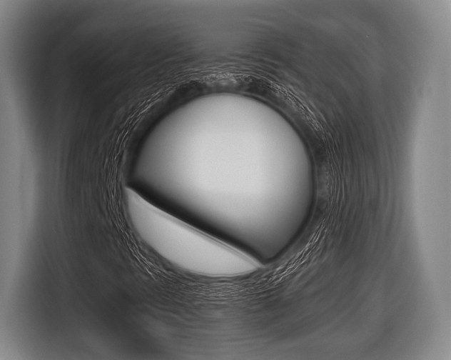 X0000116421297200912081151