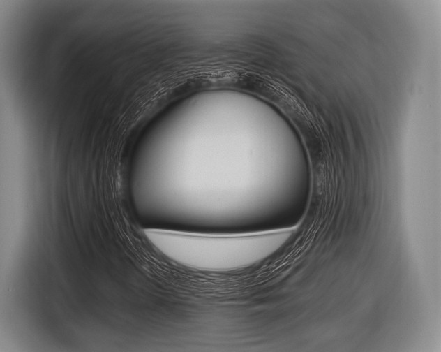 X0000116421298200912081151