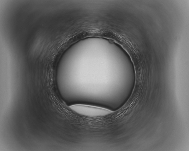 X0000116421301200912081151
