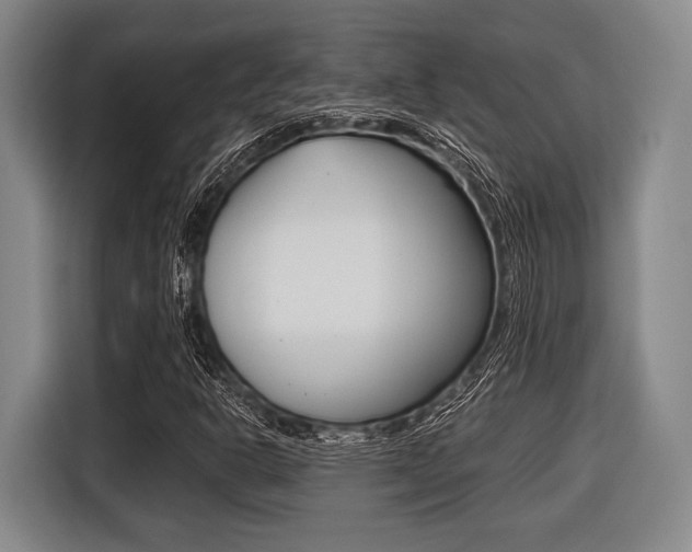 X0000116421302200912081151