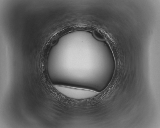 X0000116421303200912081151