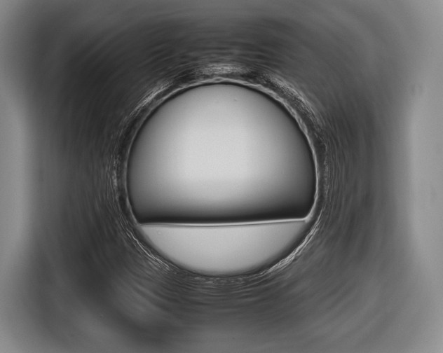 X0000116421305200912081151