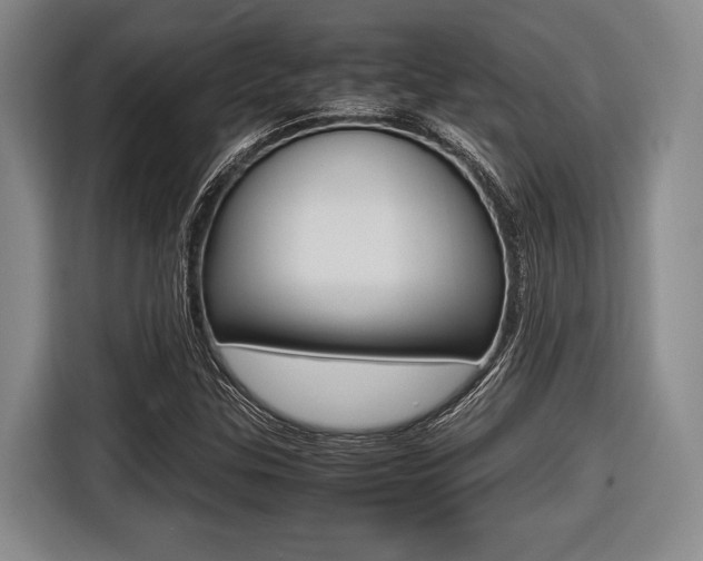X0000116421307200912081151