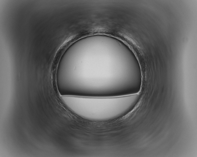X0000116421309200912081152