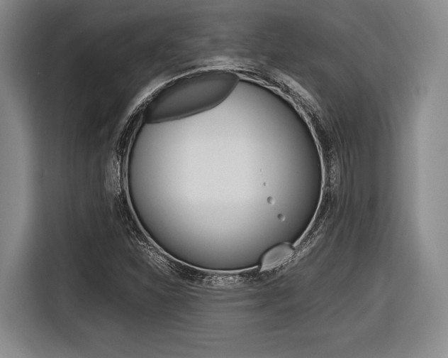 X0000116421310200912081152