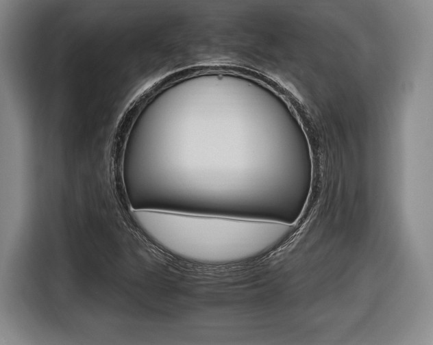 X0000116421311200912081152