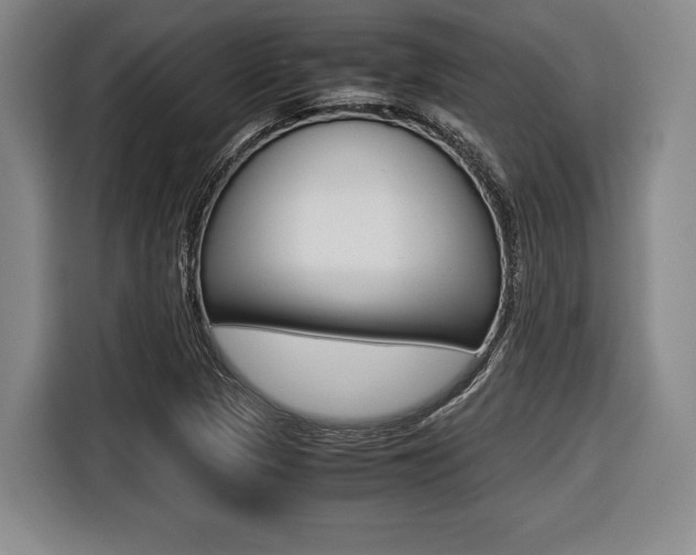X0000116421313200912081152