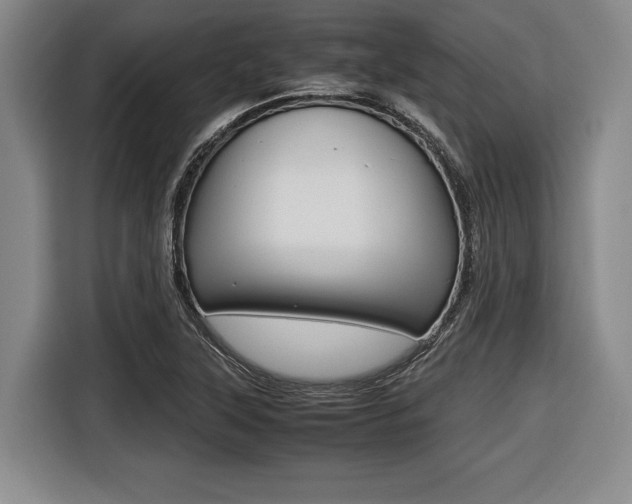 X0000116421315200912081152