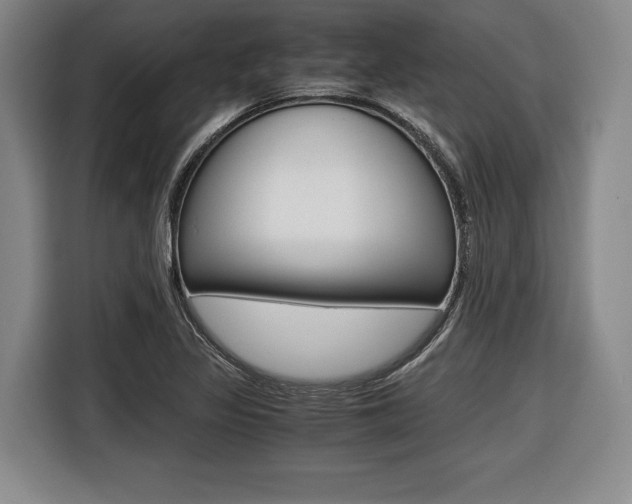 X0000116421317200912081152