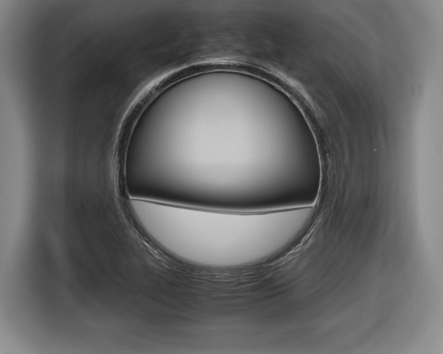 X0000116421319200912081152