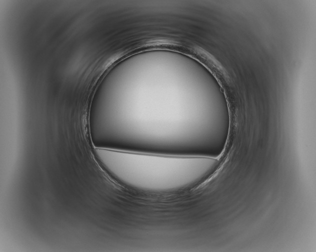 X0000116421321200912081152