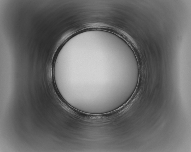 X0000116421322200912081152