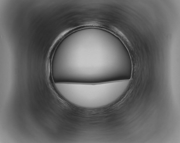 X0000116421323200912081152
