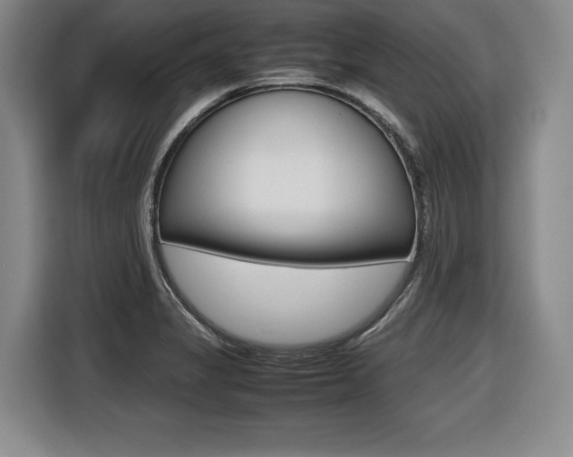X0000116421325200912081152