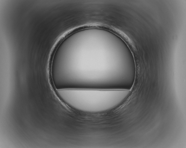 X0000116421327200912081152