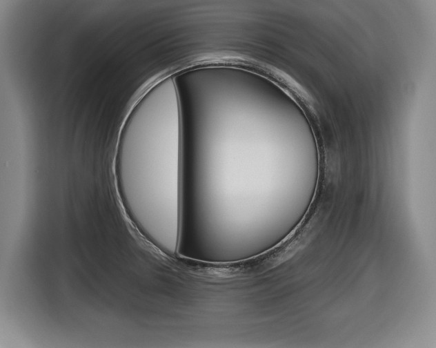X0000116421330200912081152