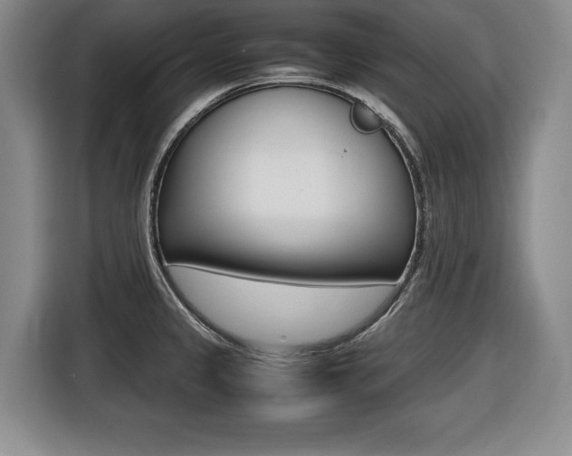 X0000116421333200912081152