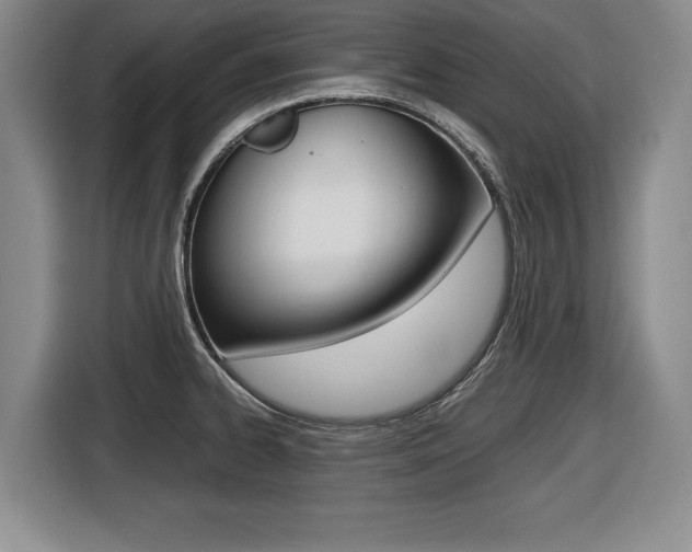 X0000116421334200912081152