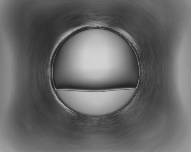 X0000116421335200912081152