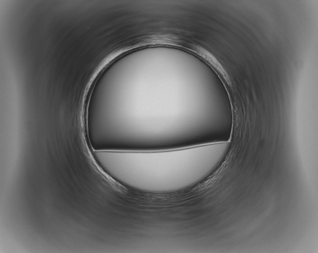 X0000116421339200912081152