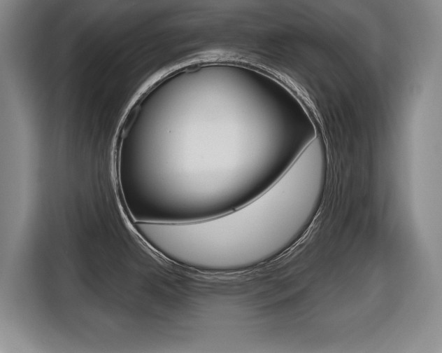 X0000116421342200912081152