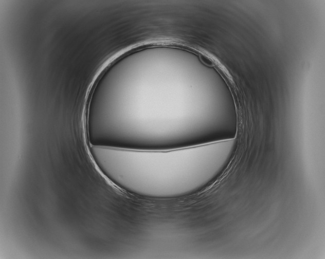 X0000116421343200912081152