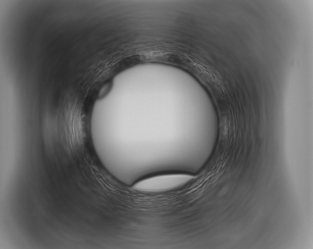X0000116421346200912081151