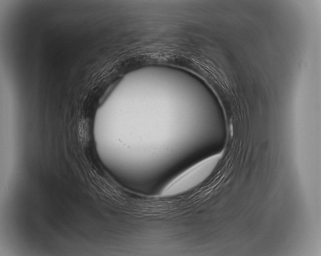 X0000116421347200912081151