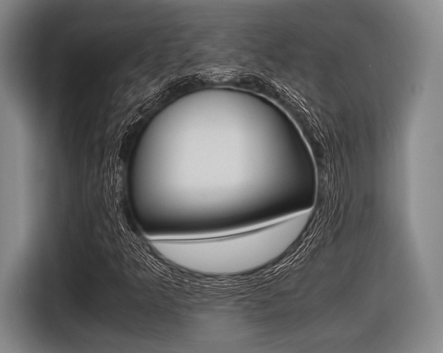 X0000116421349200912081151