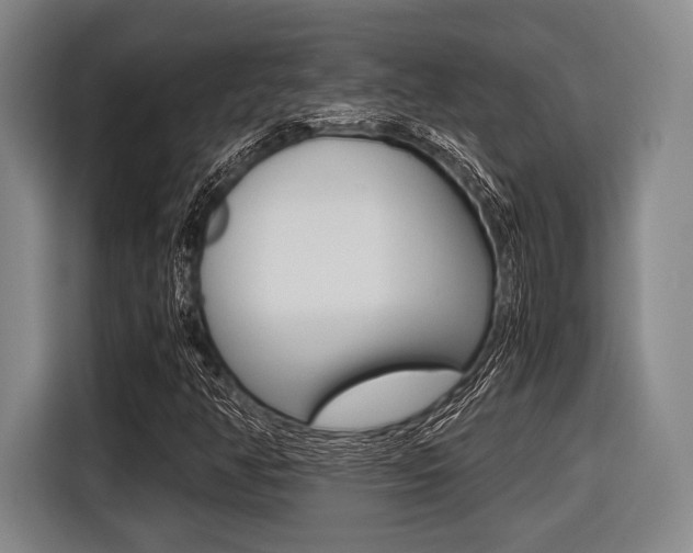 X0000116421350200912081151