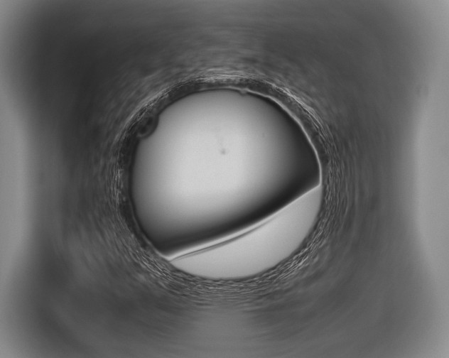 X0000116421351200912081151