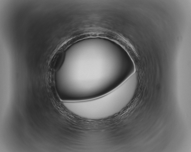 X0000116421352200912081151