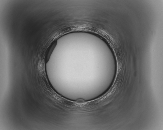 X0000116421353200912081151