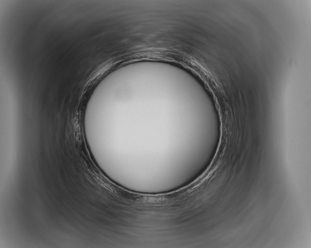 X0000116421354200912081151