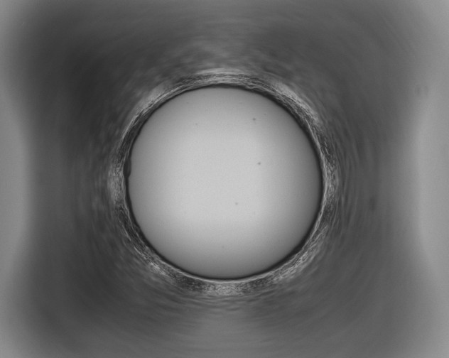 X0000116421357200912081151