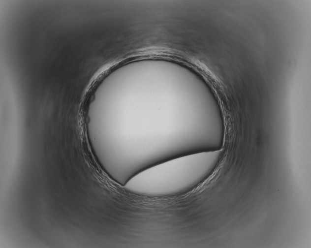 X0000116421358200912081151