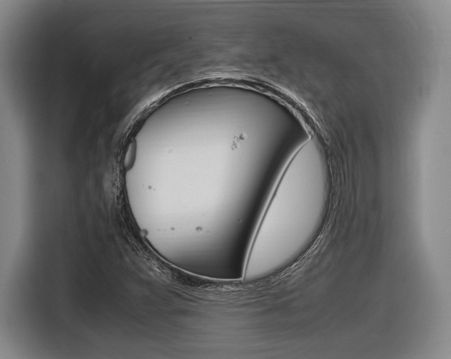 X0000116421359200912081151