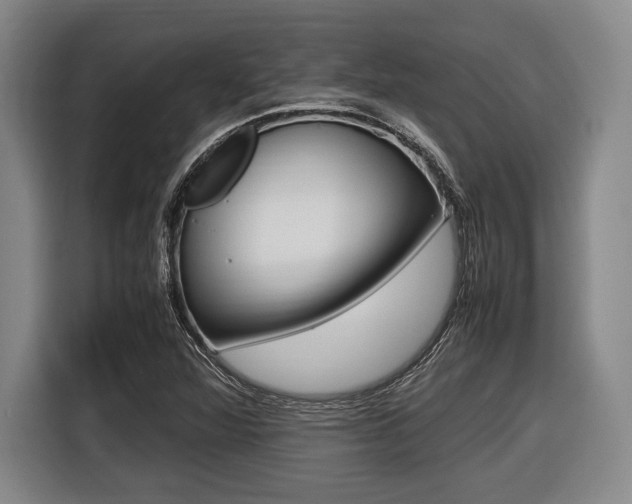 X0000116421360200912081151